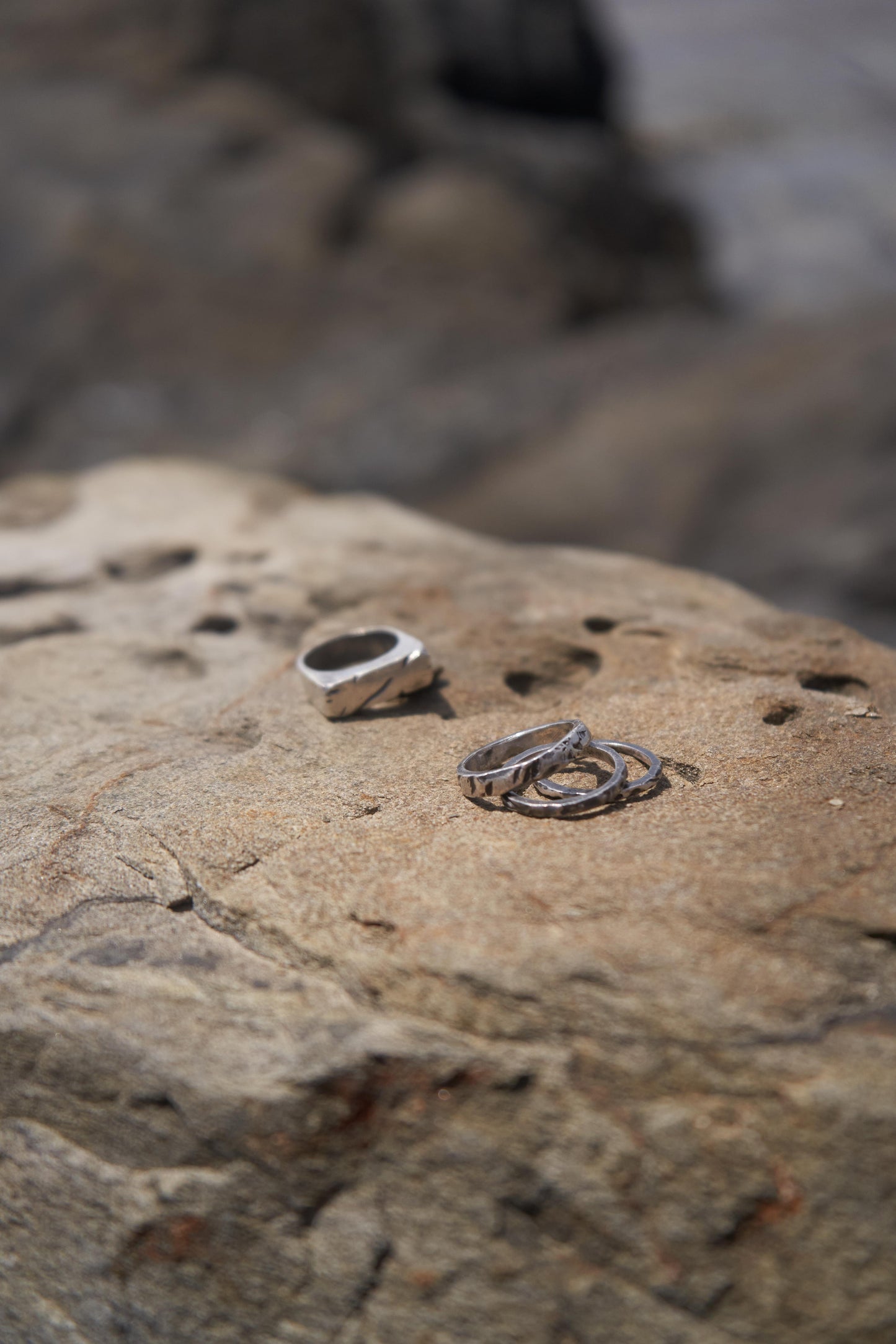 ANILLOS EVOL