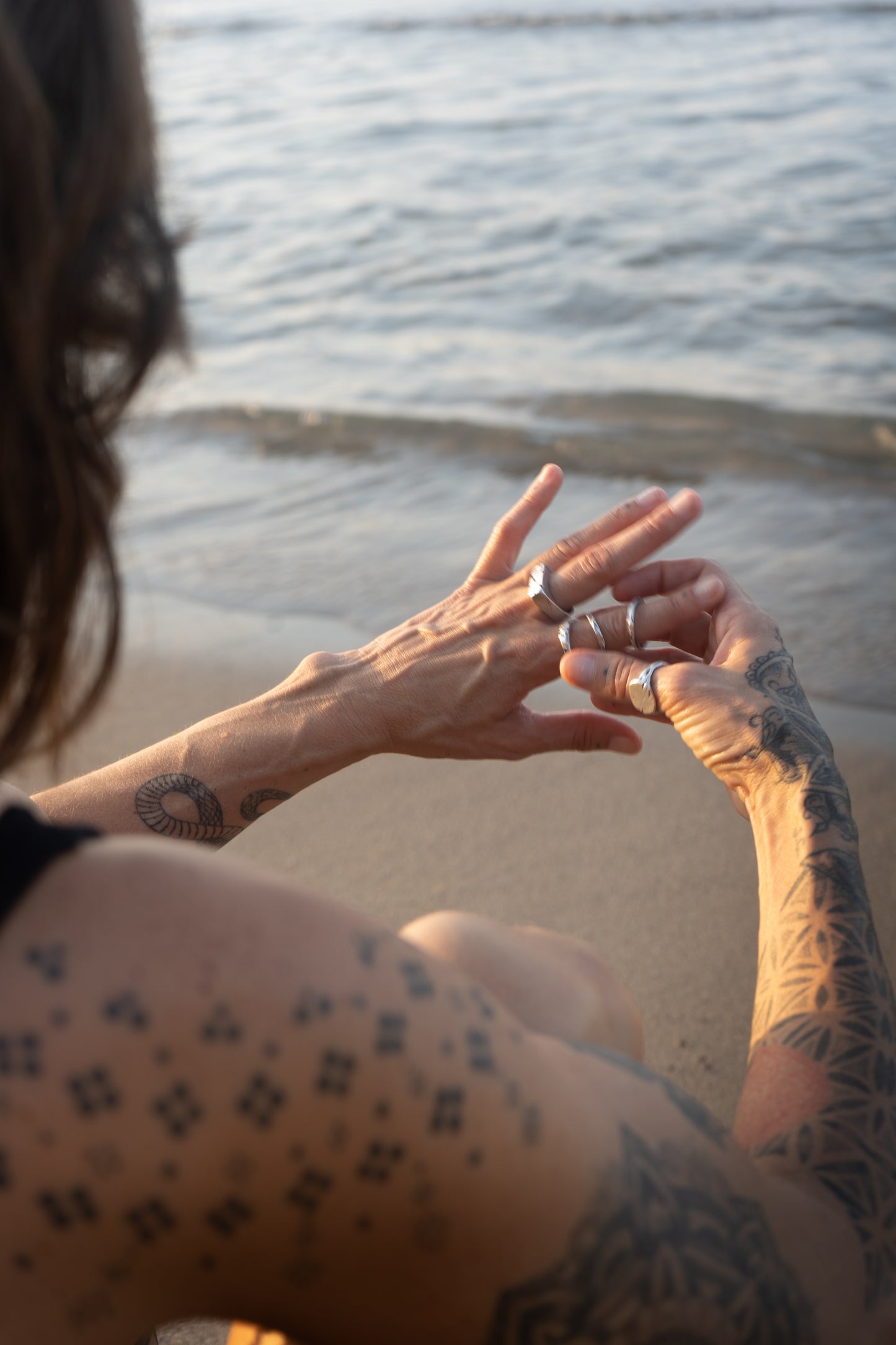 ANILLOS EVOL