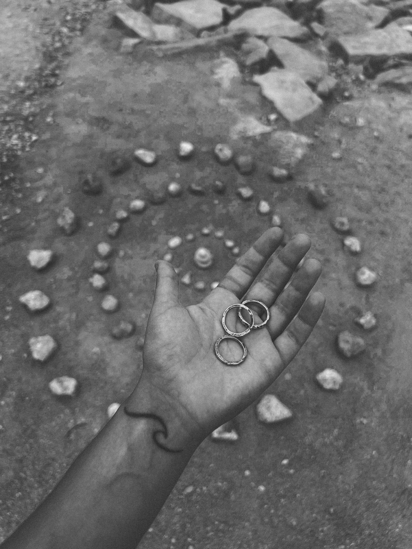 ANILLOS EVOL