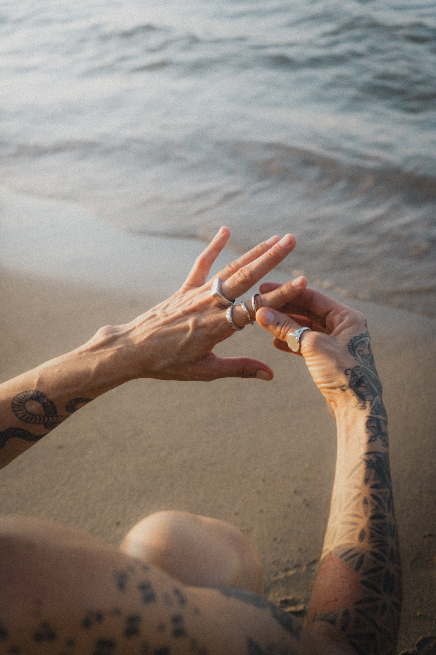 ANILLOS EVOL